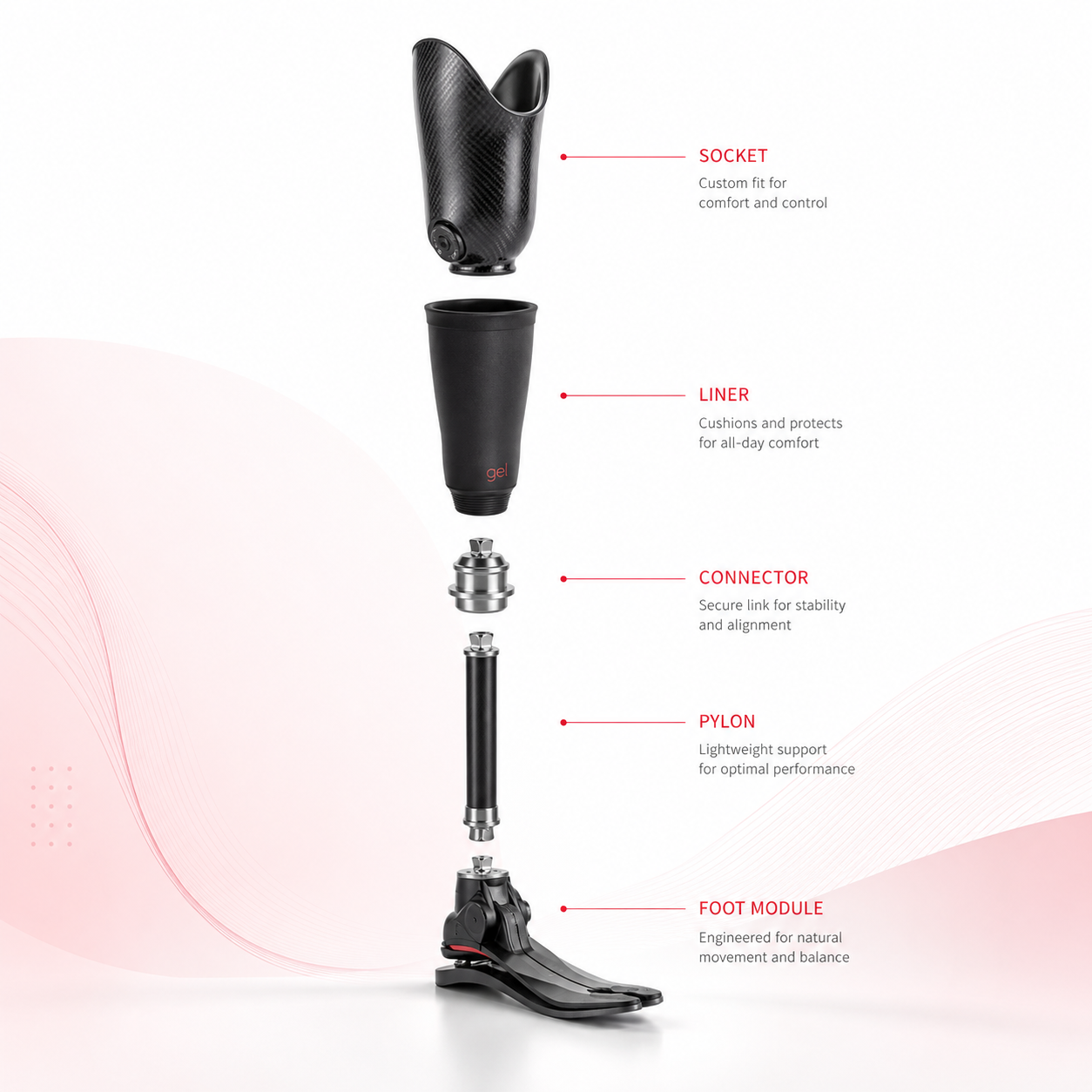 Below-knee prosthetic socket liner connector pylon and foot module